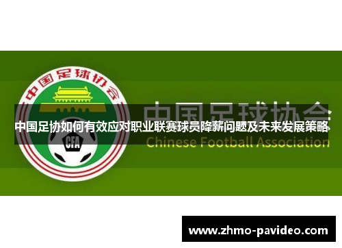 中国足协如何有效应对职业联赛球员降薪问题及未来发展策略