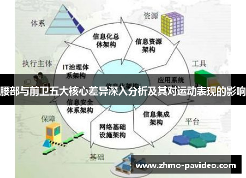腰部与前卫五大核心差异深入分析及其对运动表现的影响