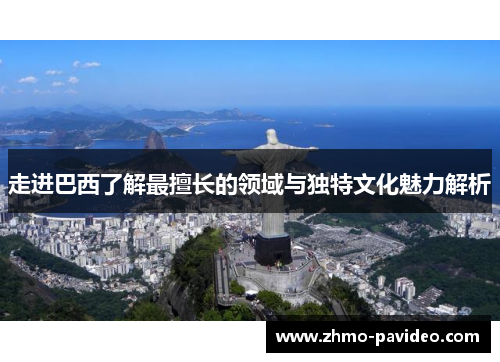 走进巴西了解最擅长的领域与独特文化魅力解析