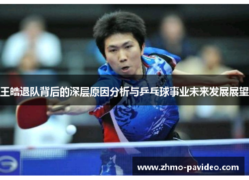 王皓退队背后的深层原因分析与乒乓球事业未来发展展望